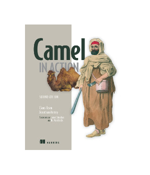 Camel in Action, 2nd Edition